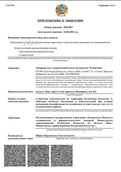 Лицензия Лицензия