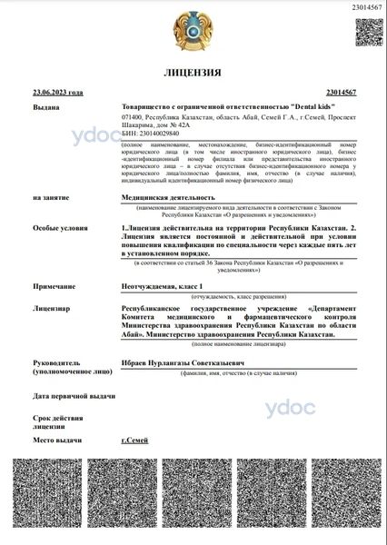 Лицензия Лицензия