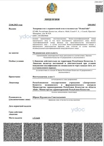 Лицензия Лицензия