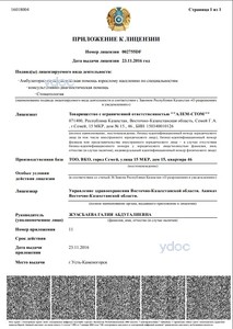 Лицензия Лицензия