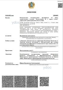 Лицензия Лицензия