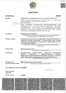 Лицензия Лицензия