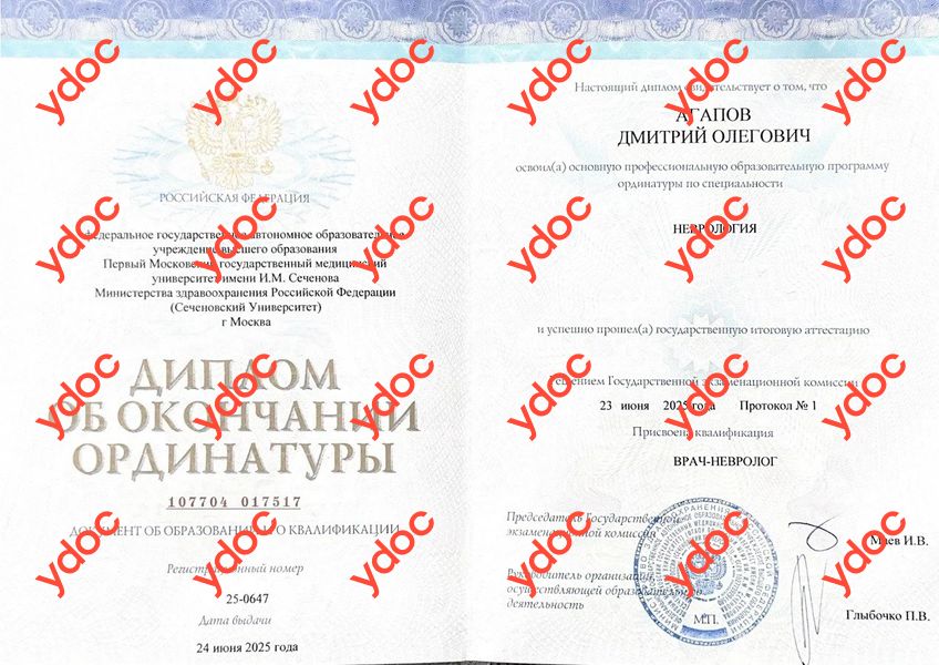 Документы и фотографии - Агапов Д. О.