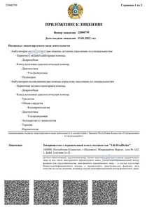 Лицензия Лицензия