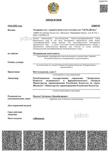 Лицензия Лицензия