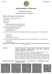 Лицензия Лицензия