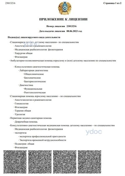 Лицензия Лицензия