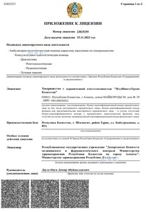 Лицензия Лицензия