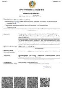 Лицензия Лицензия