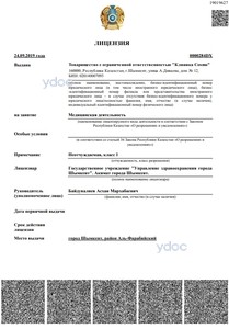 Лицензия Лицензия