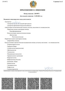 Лицензия Лицензия