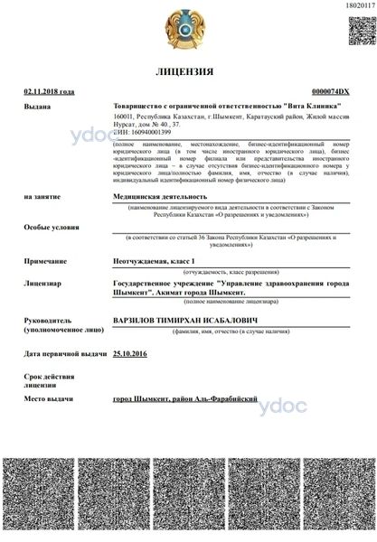 Лицензия Лицензия