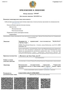 Лицензия Лицензия