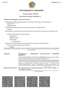 Лицензияға қосымша