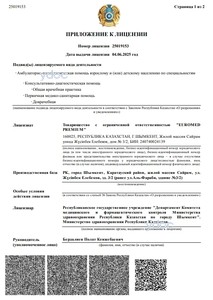 Лицензияға қосымша