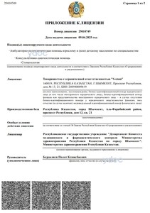 Лицензия Лицензия