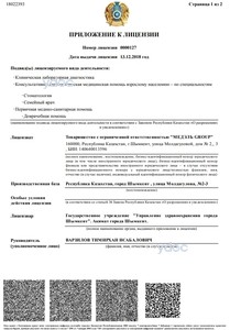 Лицензия Лицензия