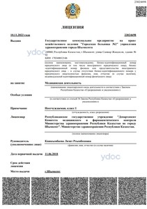 Лицензия Лицензия