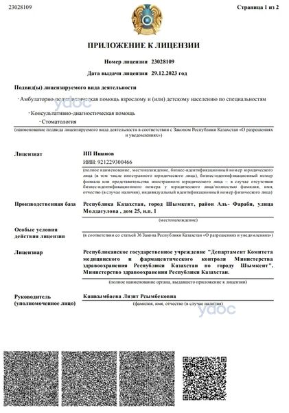 Лицензия Лицензия