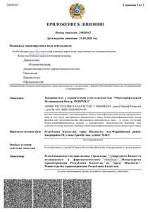 Приложение к лицензии