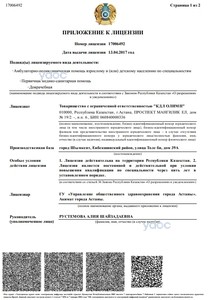 Лицензия Лицензия