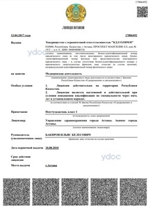 Лицензия Лицензия