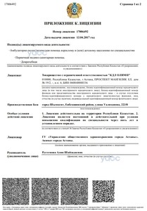 Лицензия Лицензия