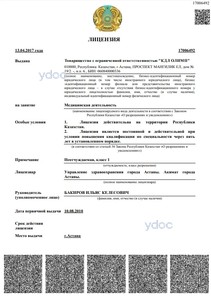 Лицензия Лицензия