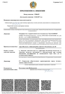 Лицензия Лицензия