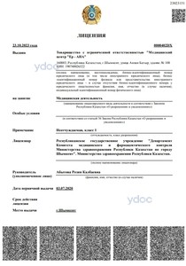 Лицензия Лицензия