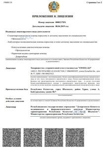 Лицензия Лицензия