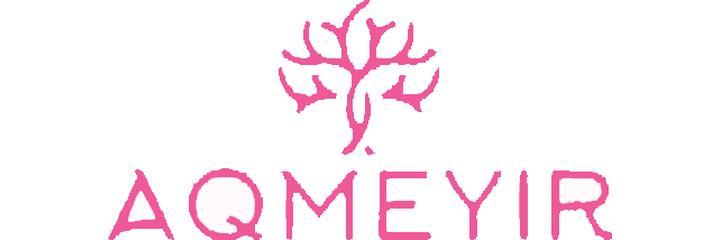 Гинекологическая клиника «Aqmeyir» (Акмейир), Шымкент Гинекологическая клиника «Aqmeyir» (Акмейир), Шымкент - фото