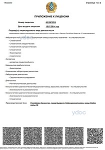 Лицензия Лицензия