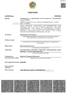 Лицензия Лицензия