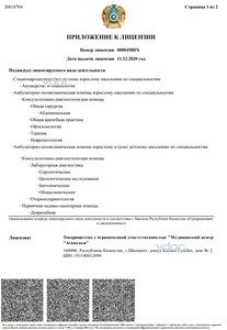 Лицензия Лицензия