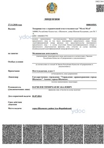 Лицензия Лицензия