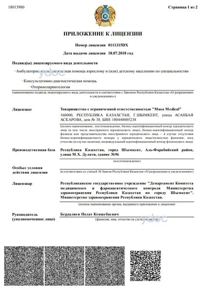 Лицензия Лицензия