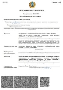 Лицензия Лицензия