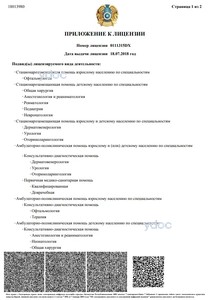 Лицензия Лицензия