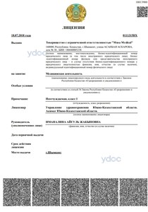 Лицензия Лицензия