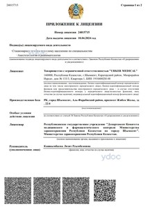 Лицензия Лицензия