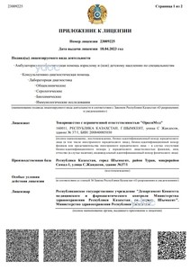 Лицензия Лицензия