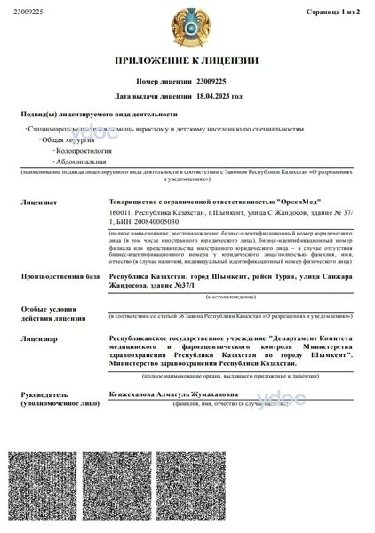 Лицензия Лицензия