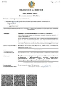 Лицензия Лицензия