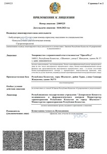 Лицензия Лицензия