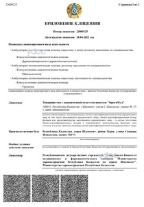 Лицензия Лицензия