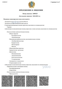 Лицензия Лицензия