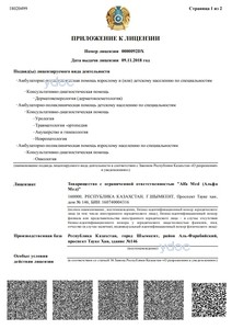 Лицензия Лицензия