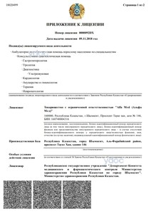 Лицензия Лицензия