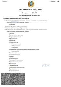 Лицензия Лицензия